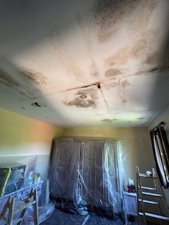 img 0454