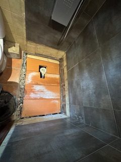 img 0471